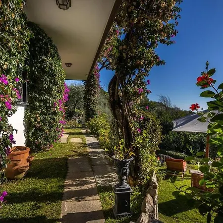 Bianca Luxury In * ראפאלו